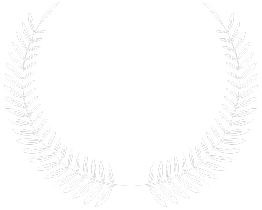 5 Star Google Rated 3